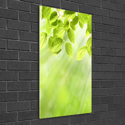 Staand foto in plexiglas Groene bladeren