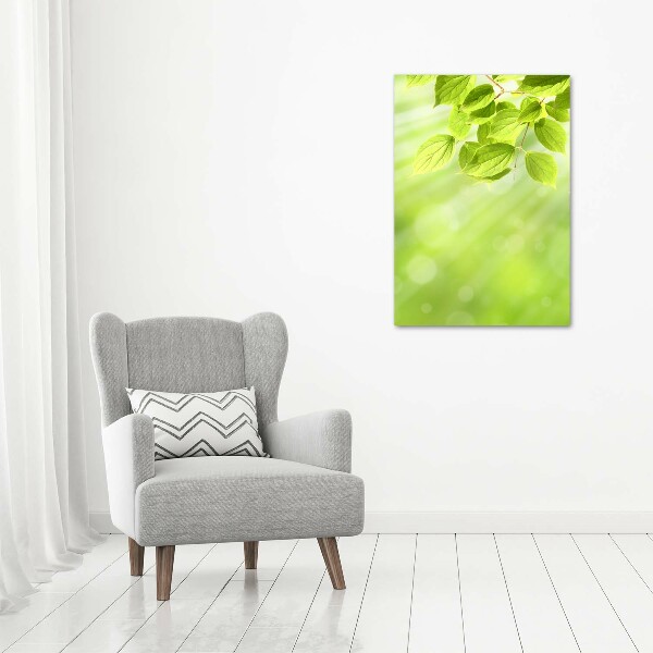 Staand foto in plexiglas Groene bladeren