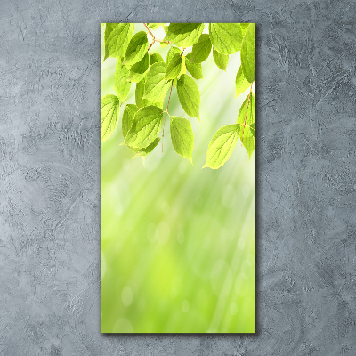 Staand foto in plexiglas Groene bladeren