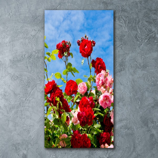 Staand plexiglas foto Doorn