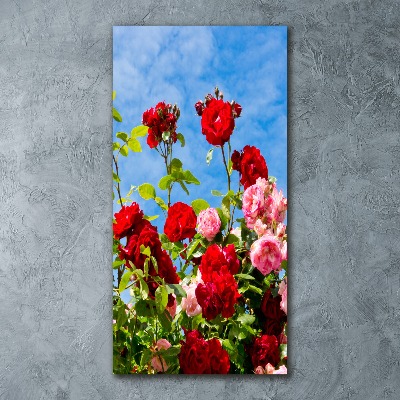 Staand plexiglas foto Doorn