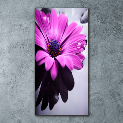 Staand foto plexiglas Roze gerbera