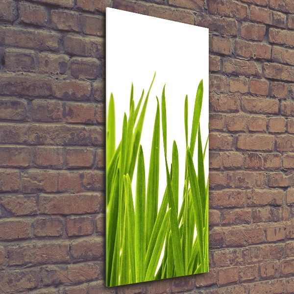 Staand foto in plexiglas Groen gras