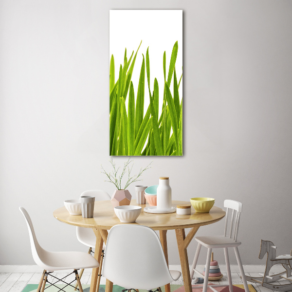 Staand foto in plexiglas Groen gras