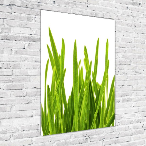 Staand foto in plexiglas Groen gras