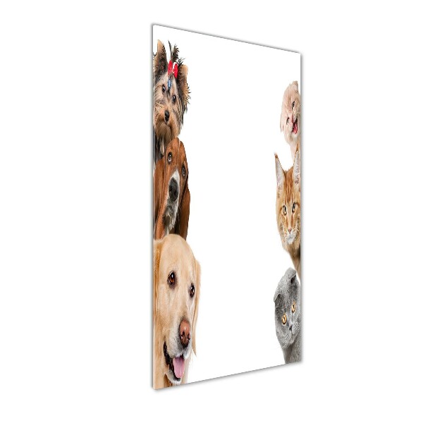 Staand foto op plexiglas Honden en katten