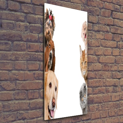 Staand foto op plexiglas Honden en katten