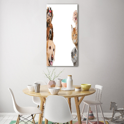 Staand foto op plexiglas Honden en katten