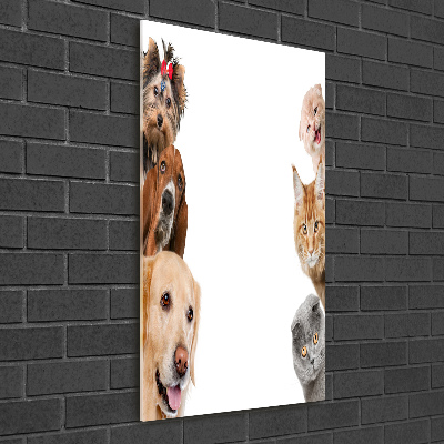 Staand foto op plexiglas Honden en katten