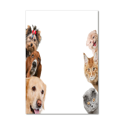 Staand foto op plexiglas Honden en katten