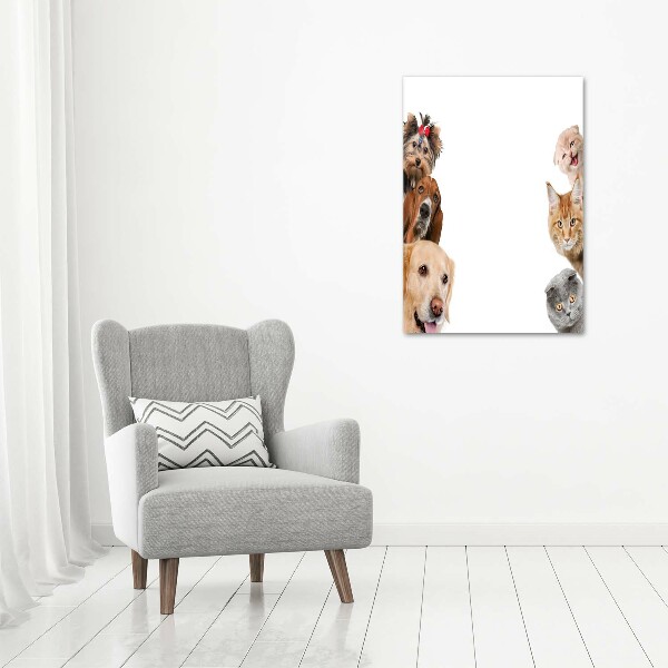 Staand foto op plexiglas Honden en katten
