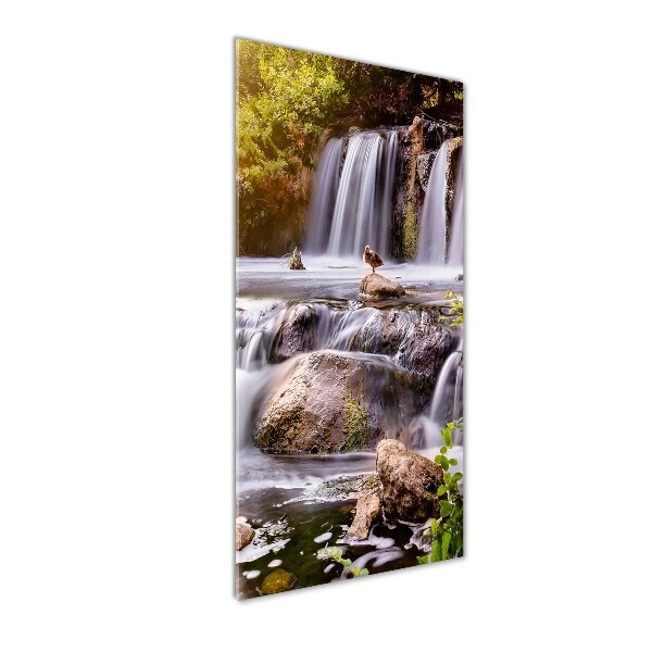 Staand foto op plexiglas Waterval