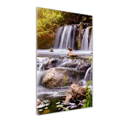 Staand foto op plexiglas Waterval