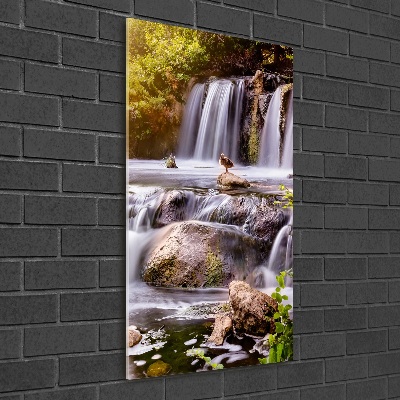 Staand foto op plexiglas Waterval