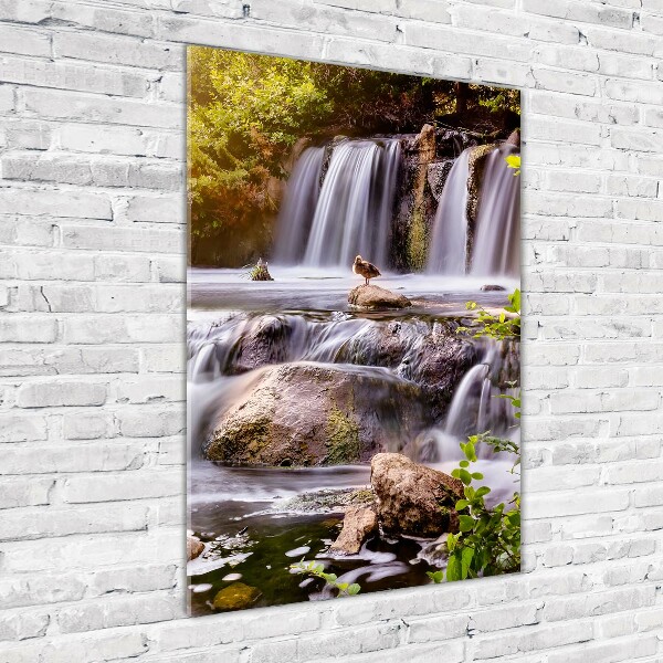 Staand foto op plexiglas Waterval
