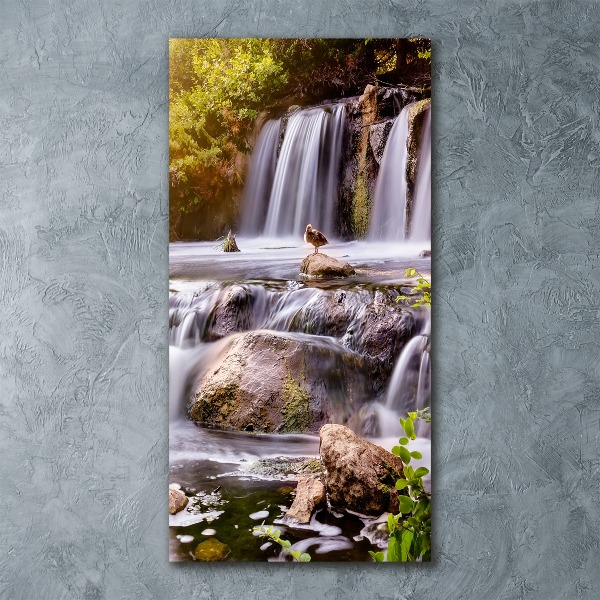 Staand foto op plexiglas Waterval