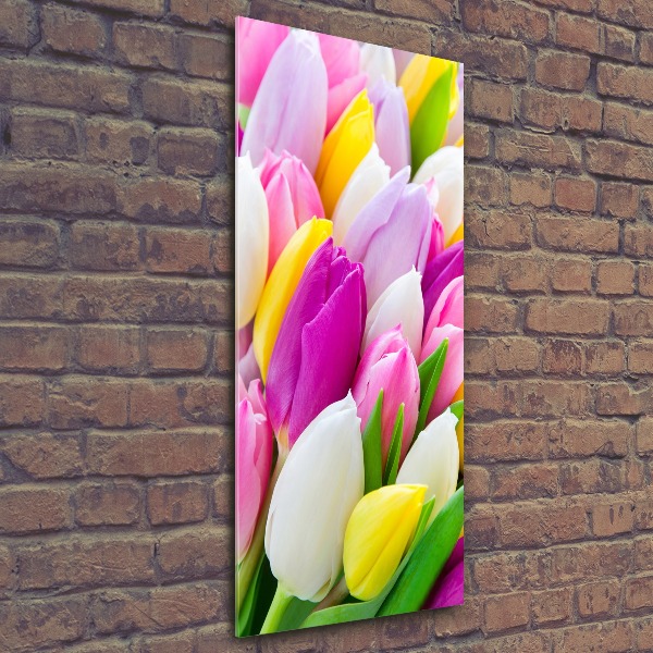 Staand foto in plexiglas Kleurrijke tulpen