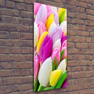 Staand foto in plexiglas Kleurrijke tulpen