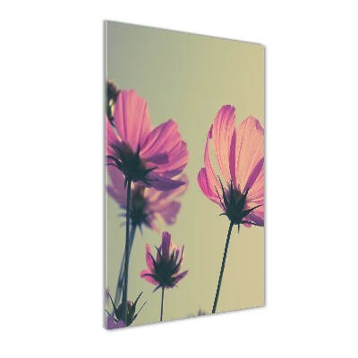 Staand plexiglas foto Roze bloemen