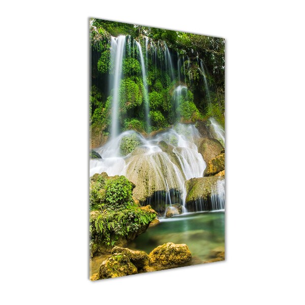 Staand foto op plexiglas Waterval in de jungle