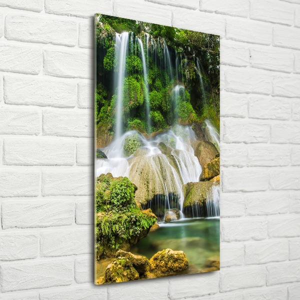 Staand foto op plexiglas Waterval in de jungle