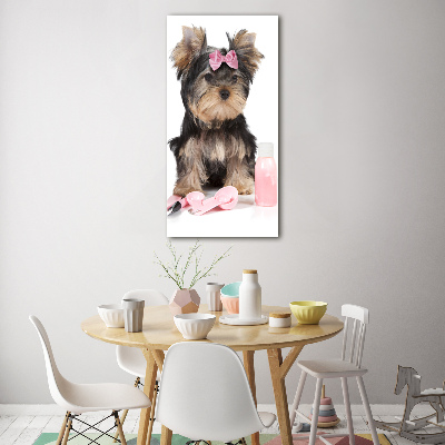 Staand foto plexiglas Yorkshire cosmetica