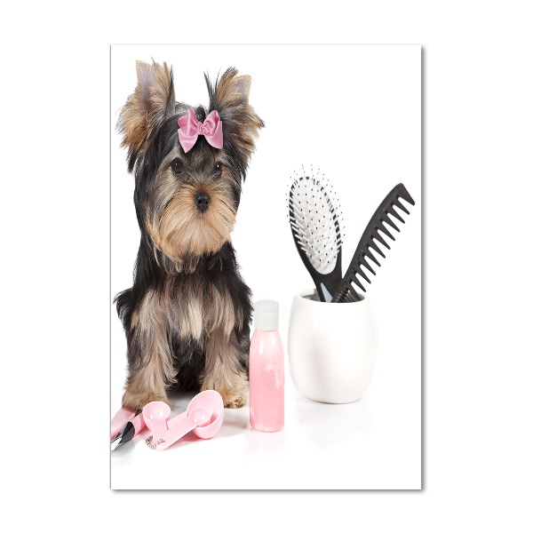 Staand foto plexiglas Yorkshire cosmetica