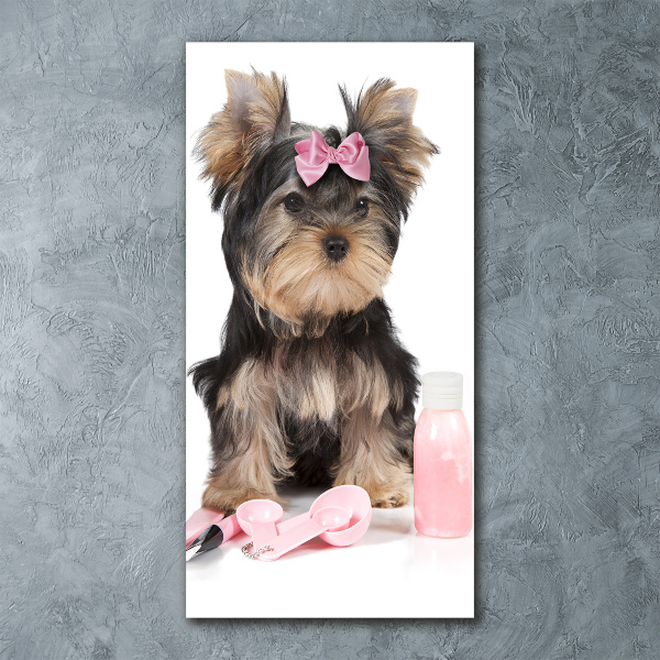 Staand foto plexiglas Yorkshire cosmetica