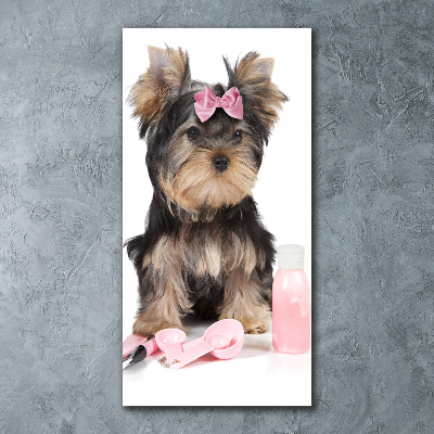 Staand foto plexiglas Yorkshire cosmetica