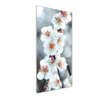 Staand foto op plexiglas Kersenbloesems