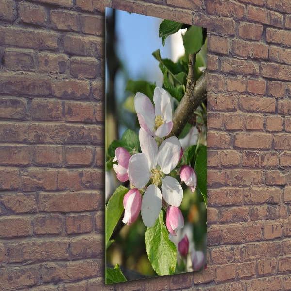 Staand plexiglas foto Kersenbloesems