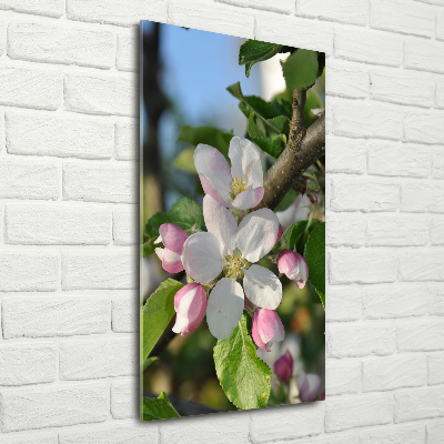 Staand plexiglas foto Kersenbloesems
