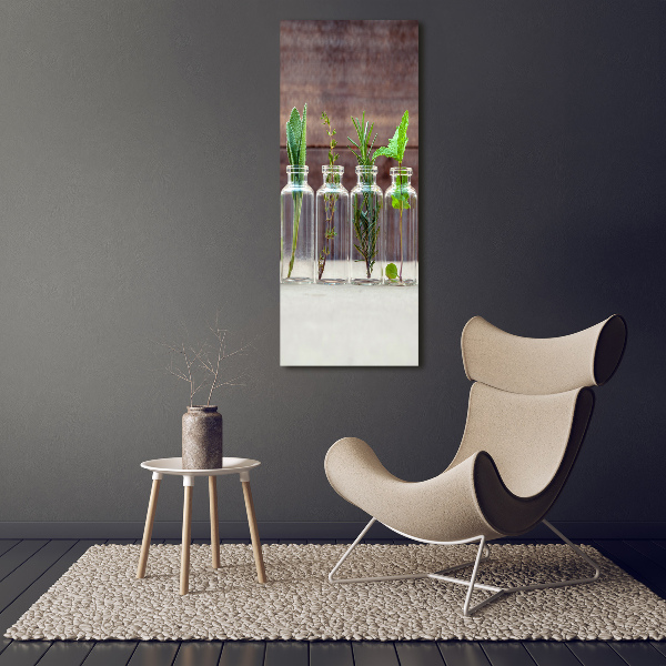 Staand foto in plexiglas Kruiden in potjes