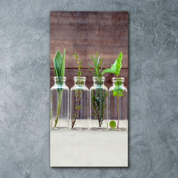 Staand foto in plexiglas Kruiden in potjes