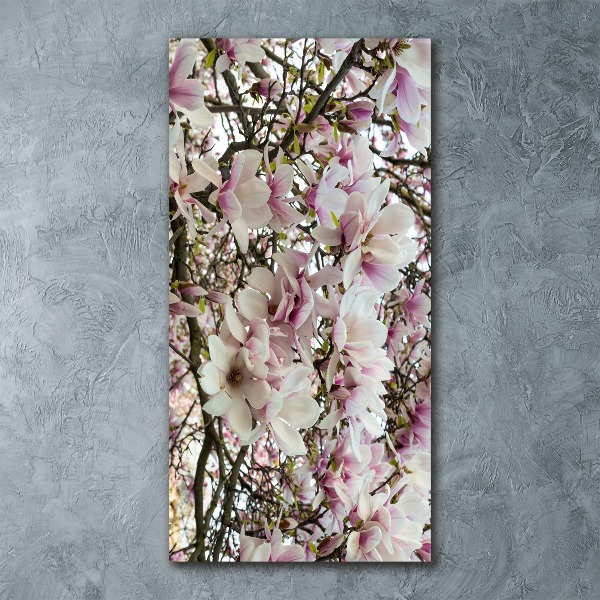 Staand foto op plexiglas Magnolia bloemen