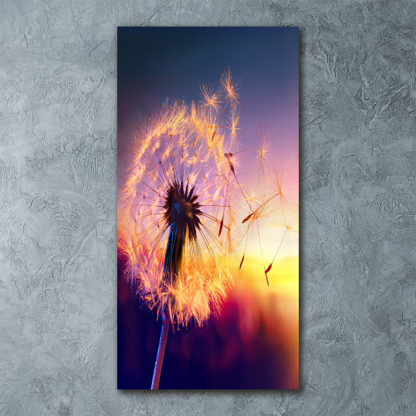 Staand plexiglas foto Paardebloem