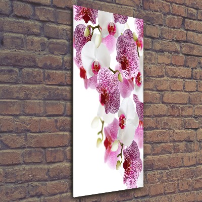 Staand foto plexiglas Orchidee