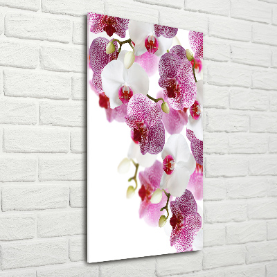 Staand foto plexiglas Orchidee