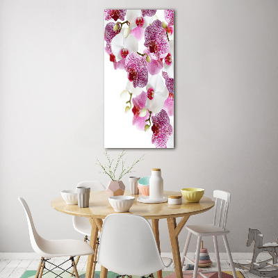 Staand foto plexiglas Orchidee