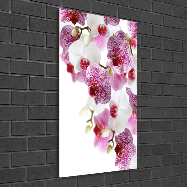 Staand foto plexiglas Orchidee