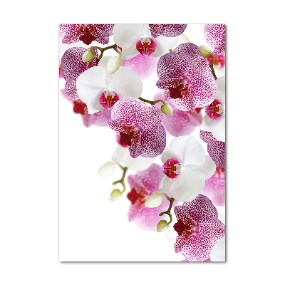 Staand foto plexiglas Orchidee