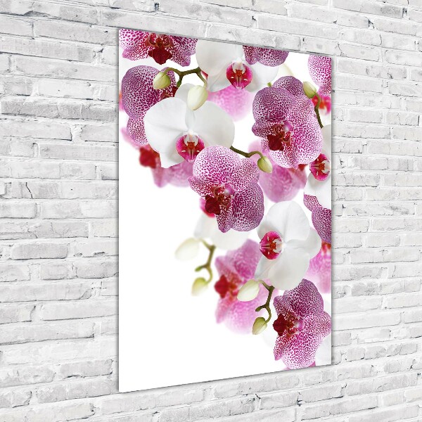 Staand foto plexiglas Orchidee