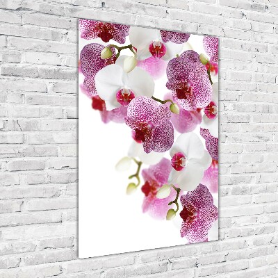 Staand foto plexiglas Orchidee