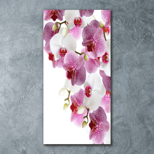 Staand foto plexiglas Orchidee