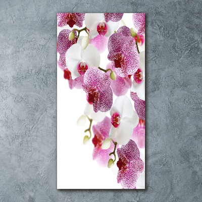 Staand foto plexiglas Orchidee