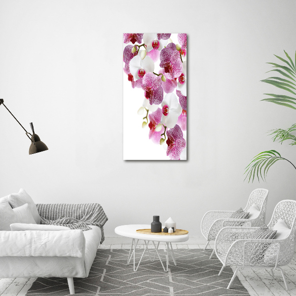 Staand foto plexiglas Orchidee
