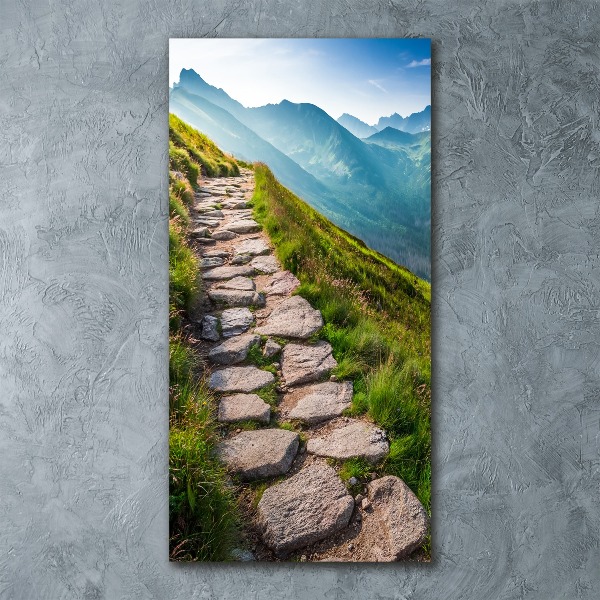 Staand foto plexiglas Bergpad