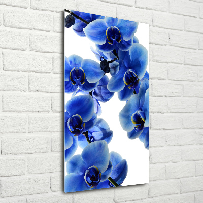 Staand plexiglas foto Blauwe orchidee