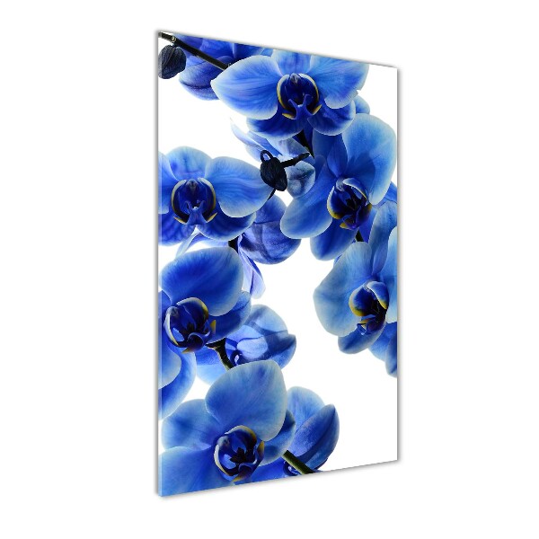 Staand plexiglas foto Blauwe orchidee