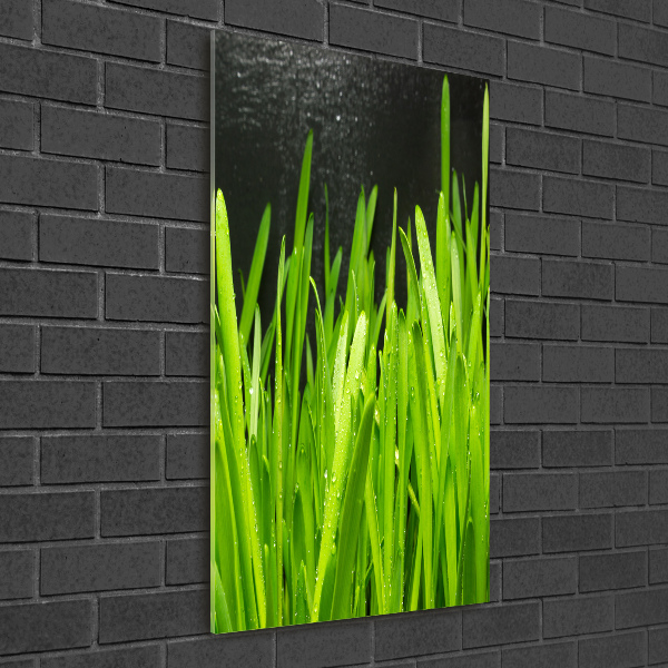 Staand foto plexiglas grassprieten